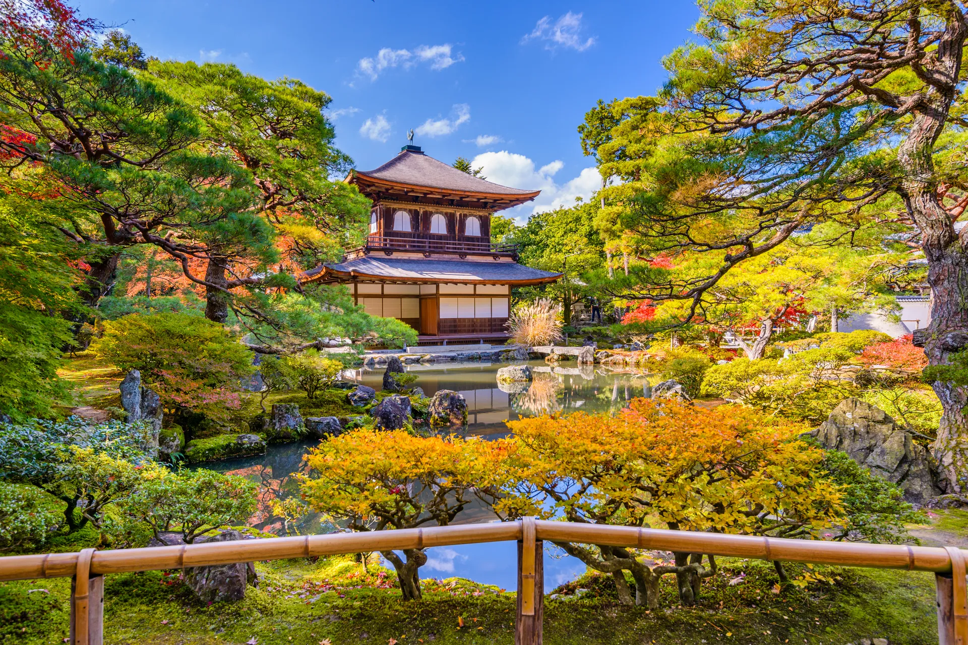 Japan Tour Package for Couples: 7-Day Romantic Itinerary and Cost