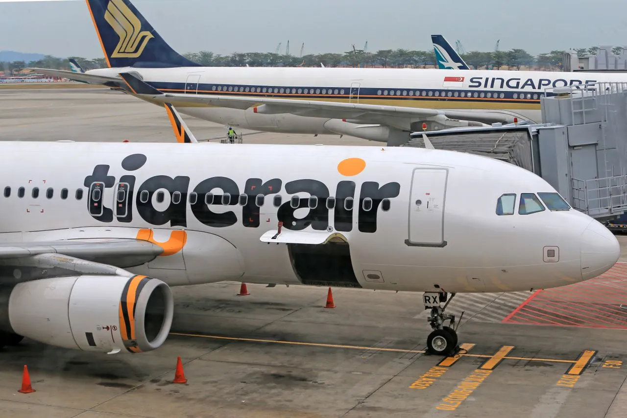 Arrival in Singapore - Image 1