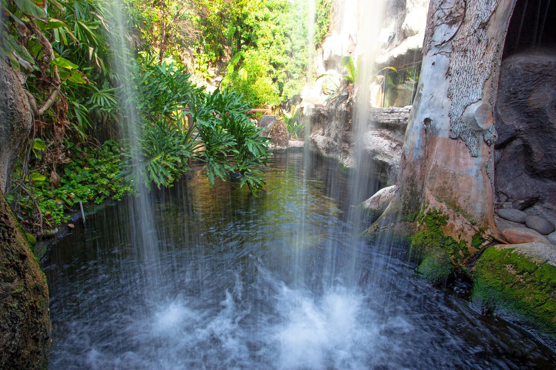 Active view 3