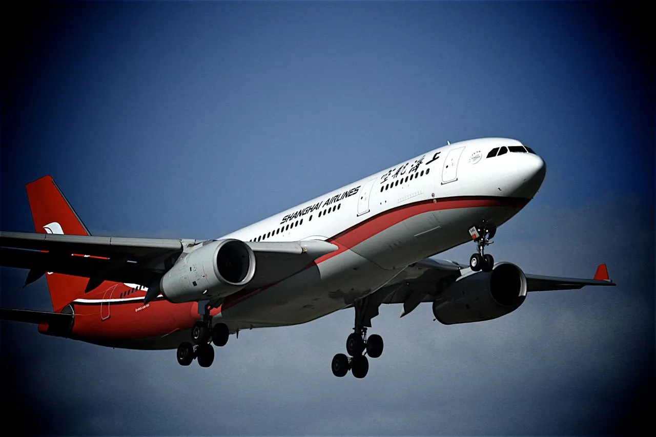 Fly From India To Shanghai - Image 1
