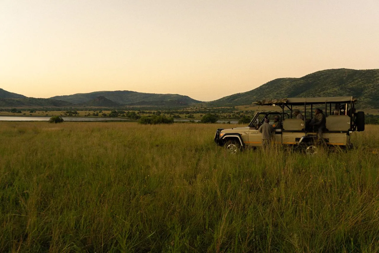 Sun City & Pilanesberg Safari Adventure - Image 1