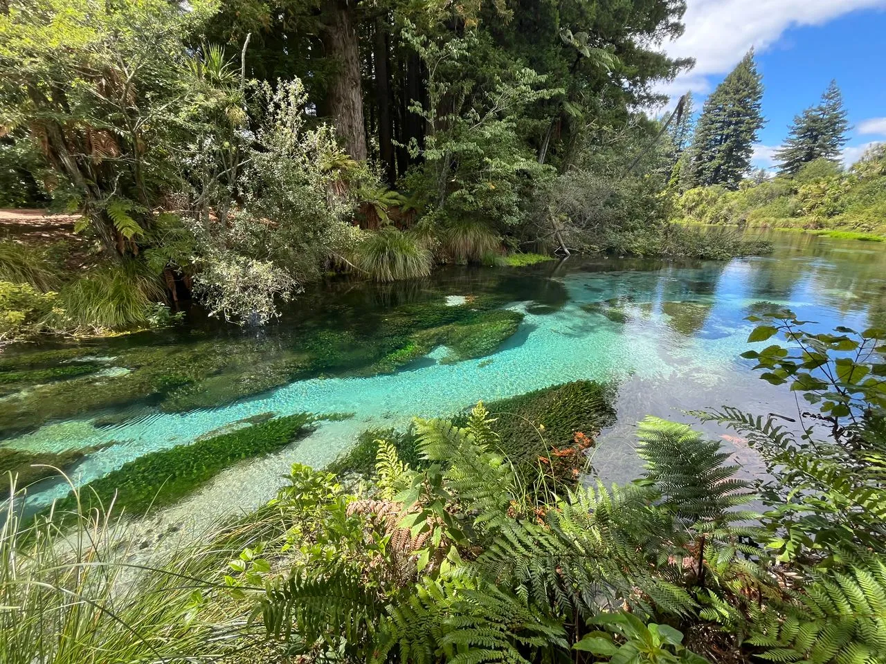 Paihia - Rotorua - Image 1