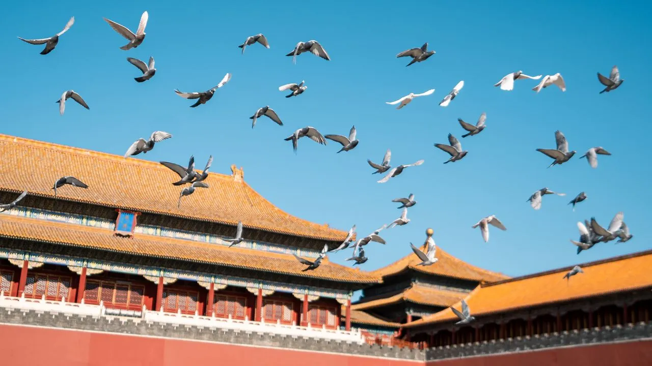 Xi'an Sightseeing & Fly To Beijing - Image 1
