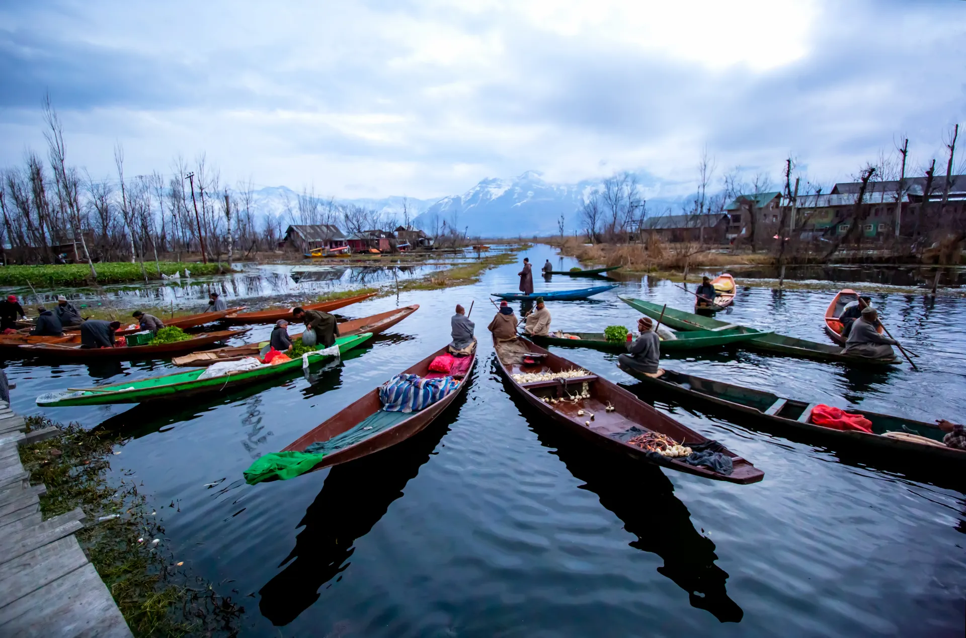 kashmir