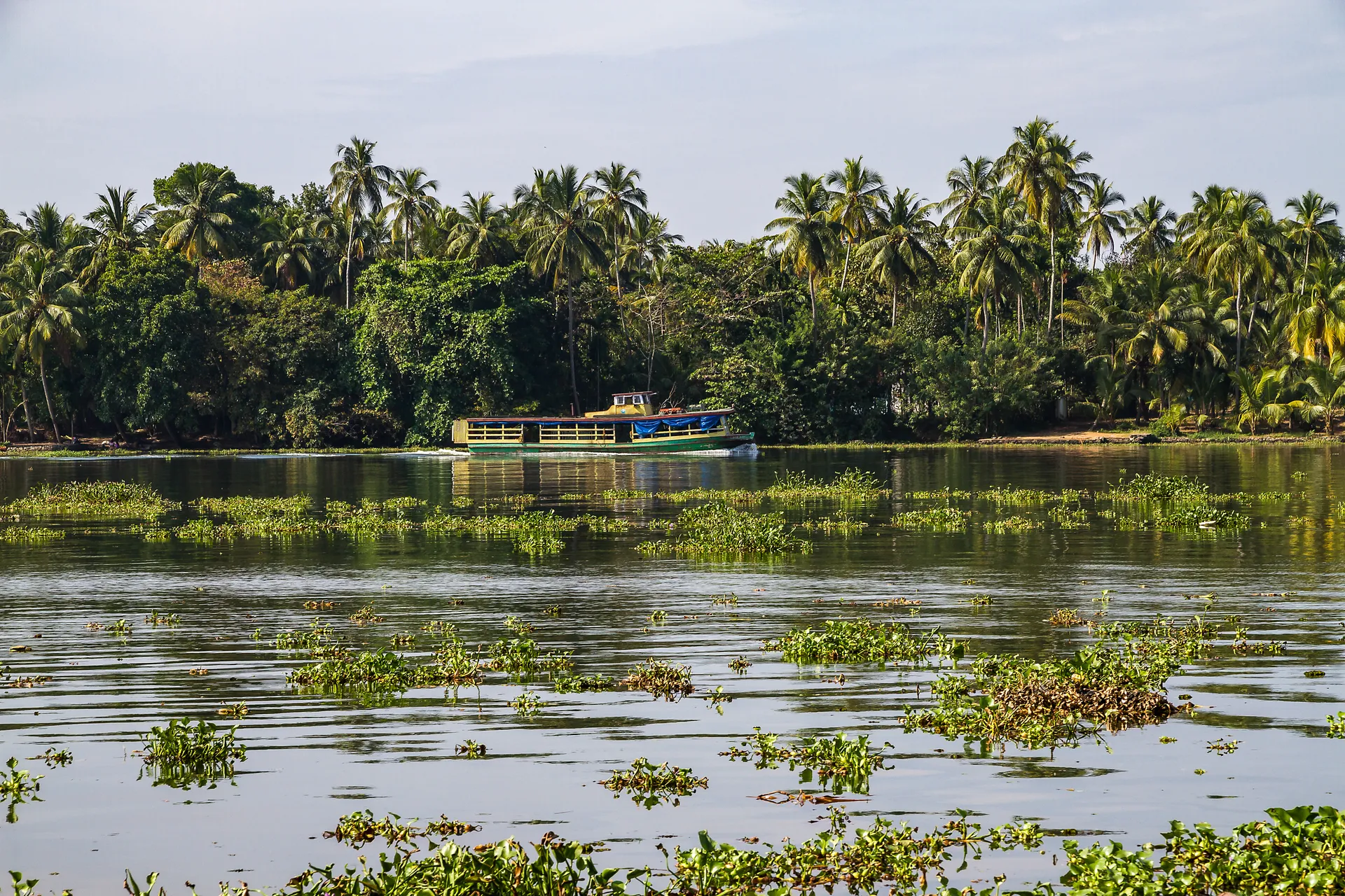 Kochi