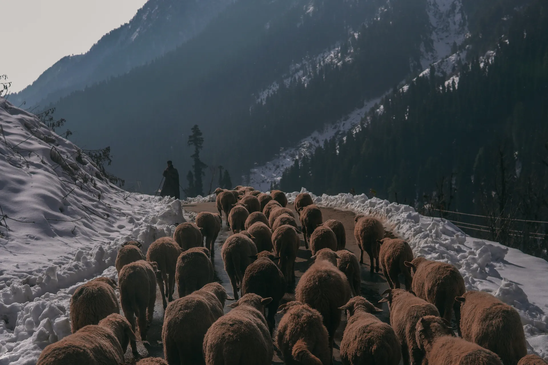 Enthralling Kashmir: Lakes, Gardens and Mountain Valleys