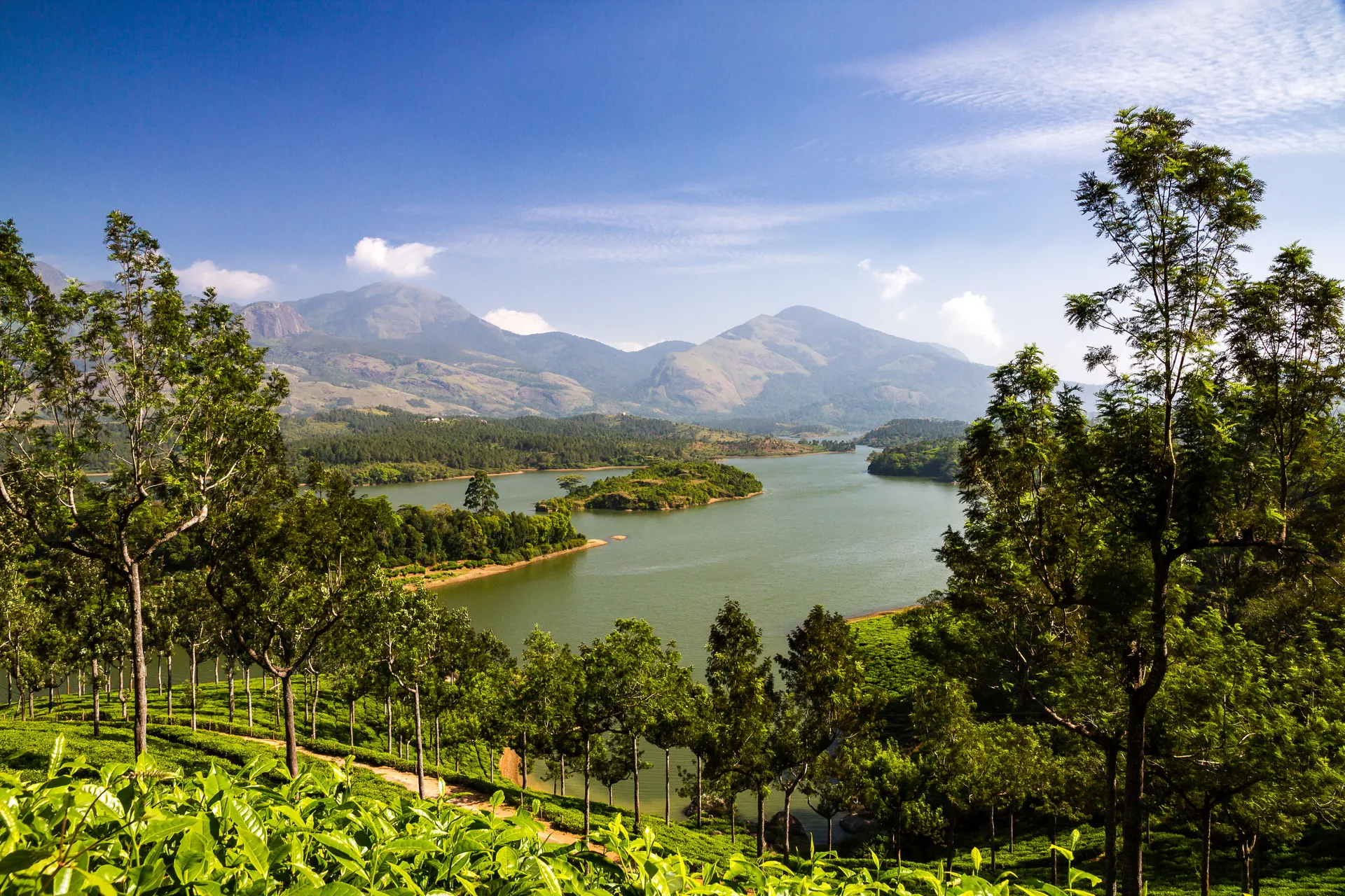 Munnar