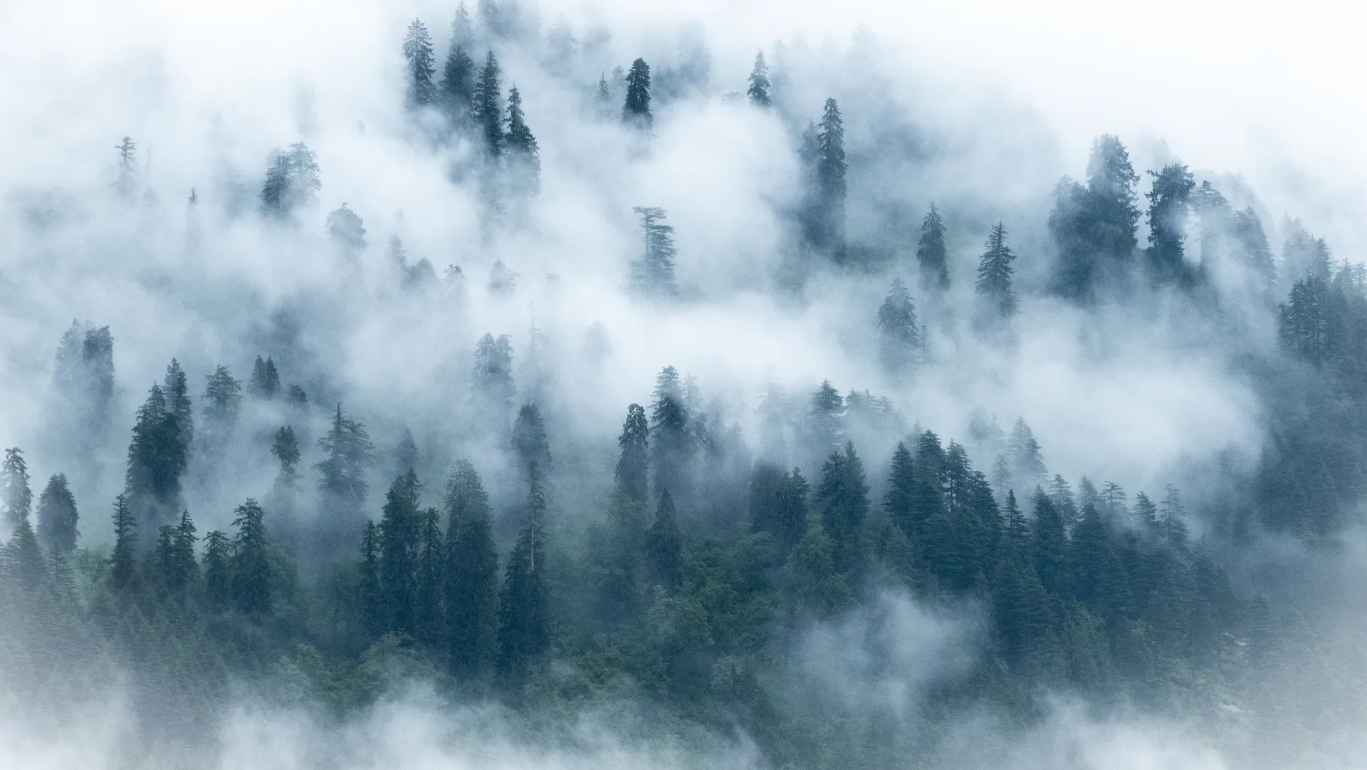 Manali