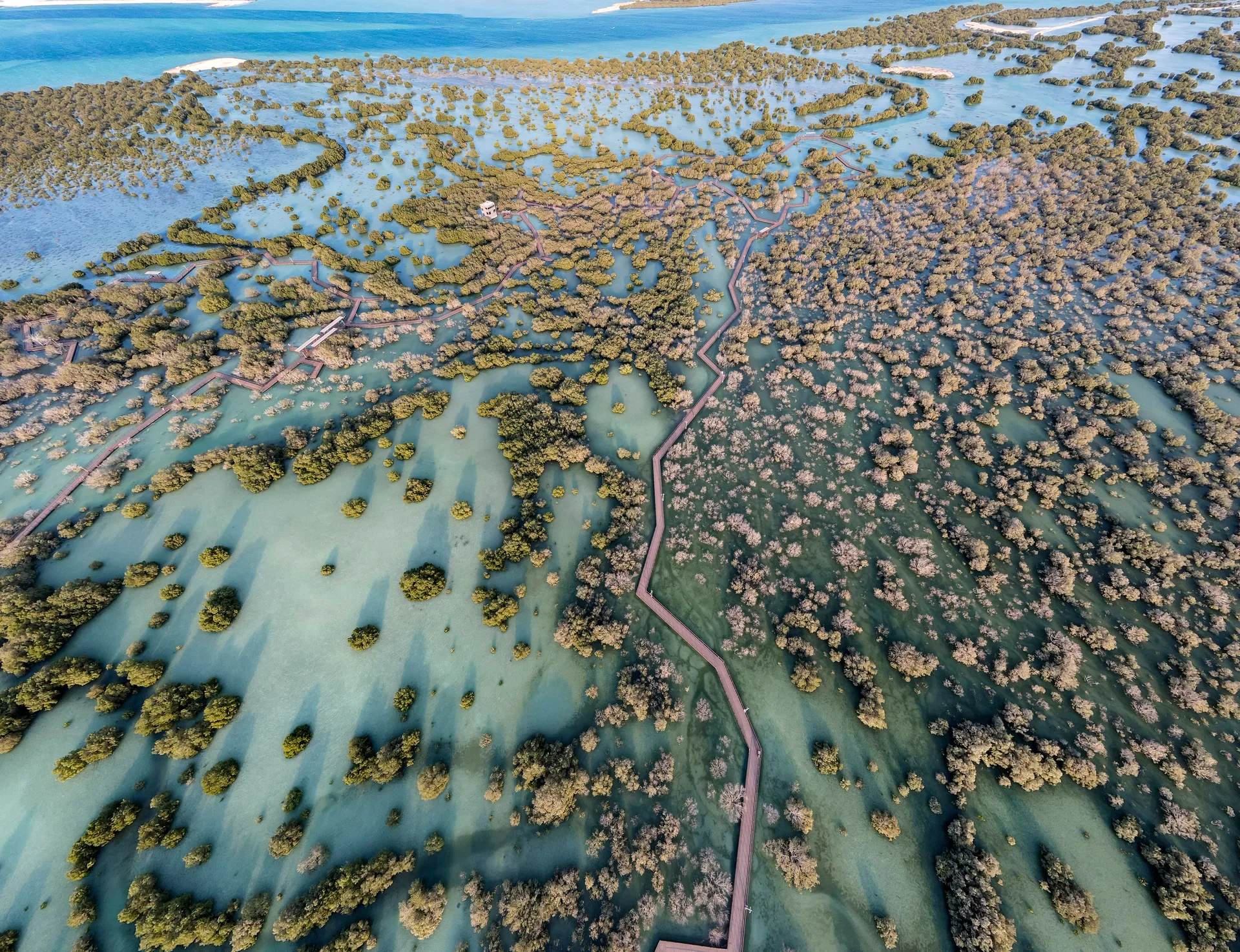Active view 3