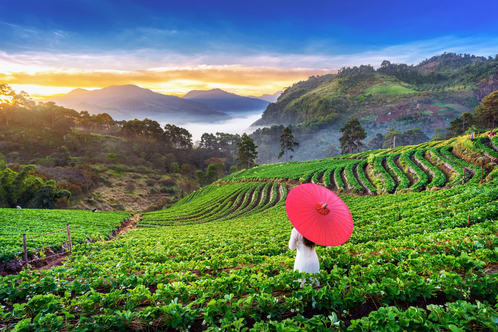Waterfalls and Wilderness: Ba Be to Ban Gioc