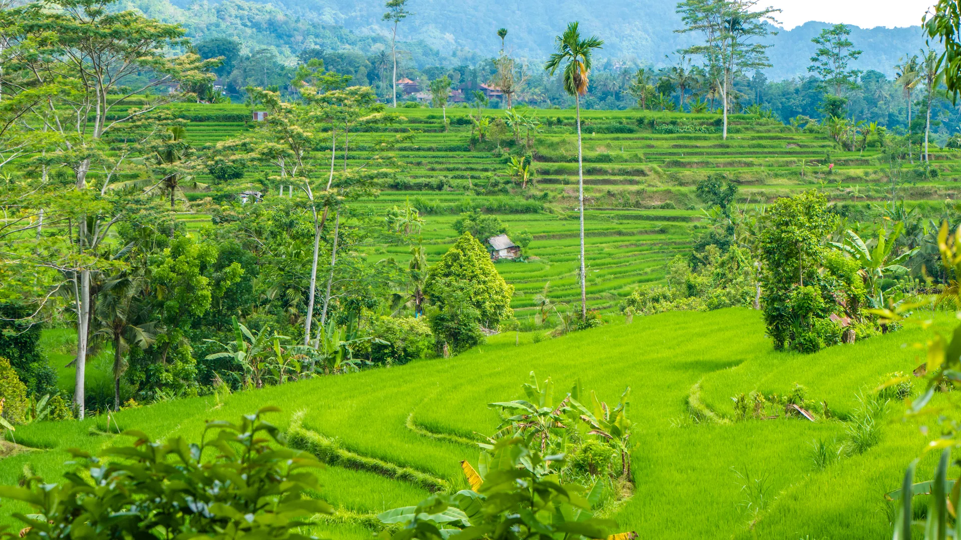 Sidemen Slow Bali Retreat