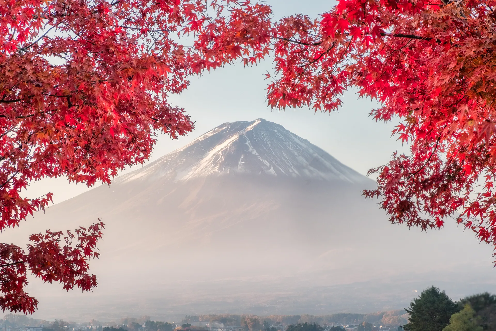 Japan’s Cultural Arc: An 11-Day Journey from Hiroshima to Tokyo