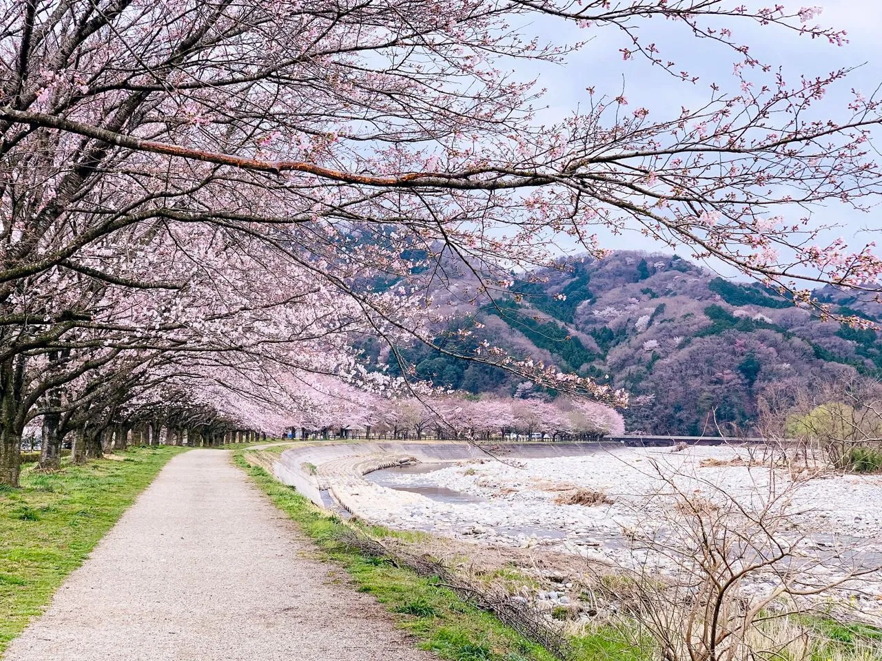 Japan and Korea Highlights A 10-Day Twin-Country Journey