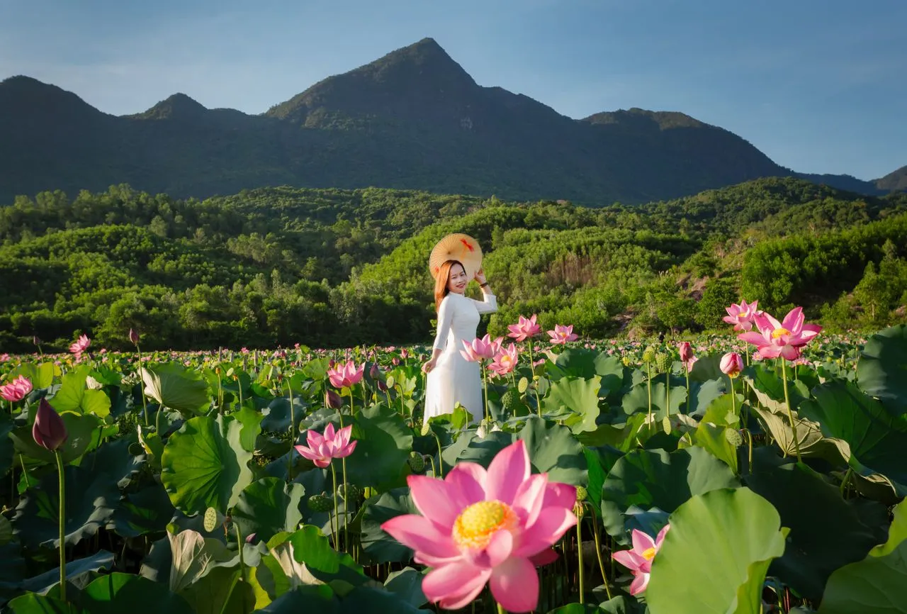 Highlands, Dunes & Saigon
