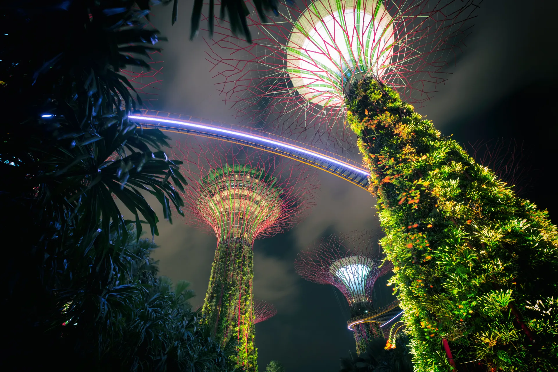 Singapore Family Fun Week