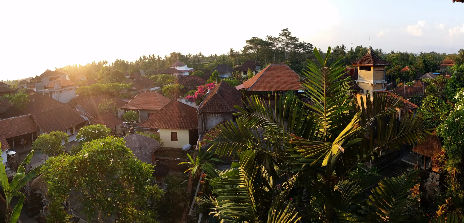 Rice Terraces to Surf Towns