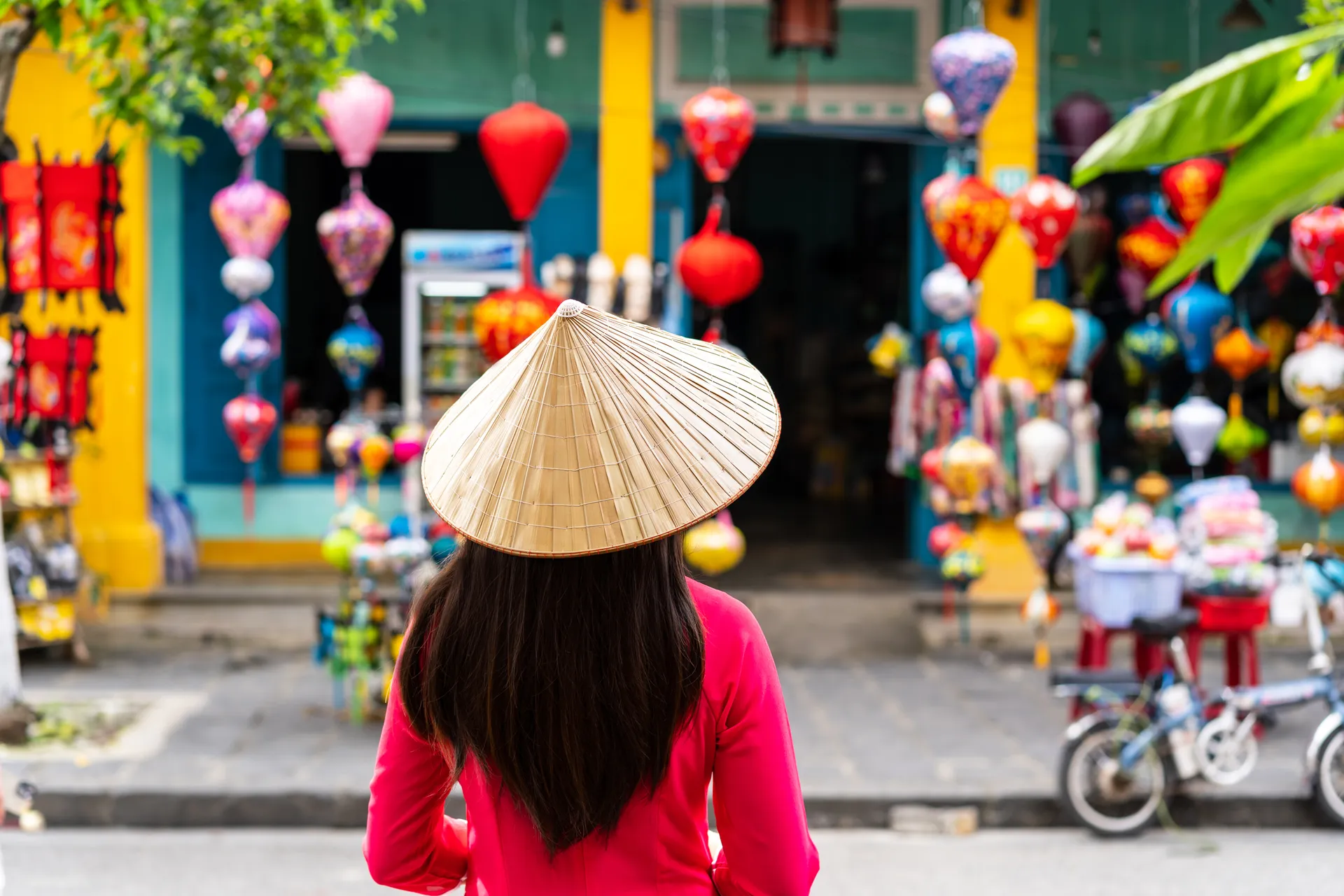 The Grand Vietnam Panorama